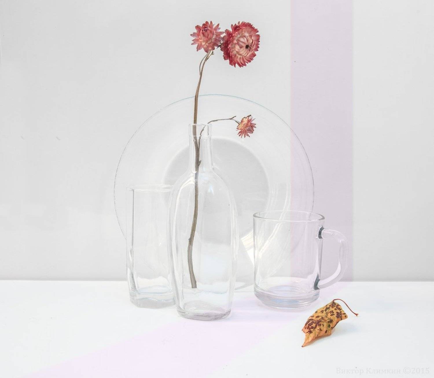 лист, натюрморт, стекло, цветок, Виктор Климкин