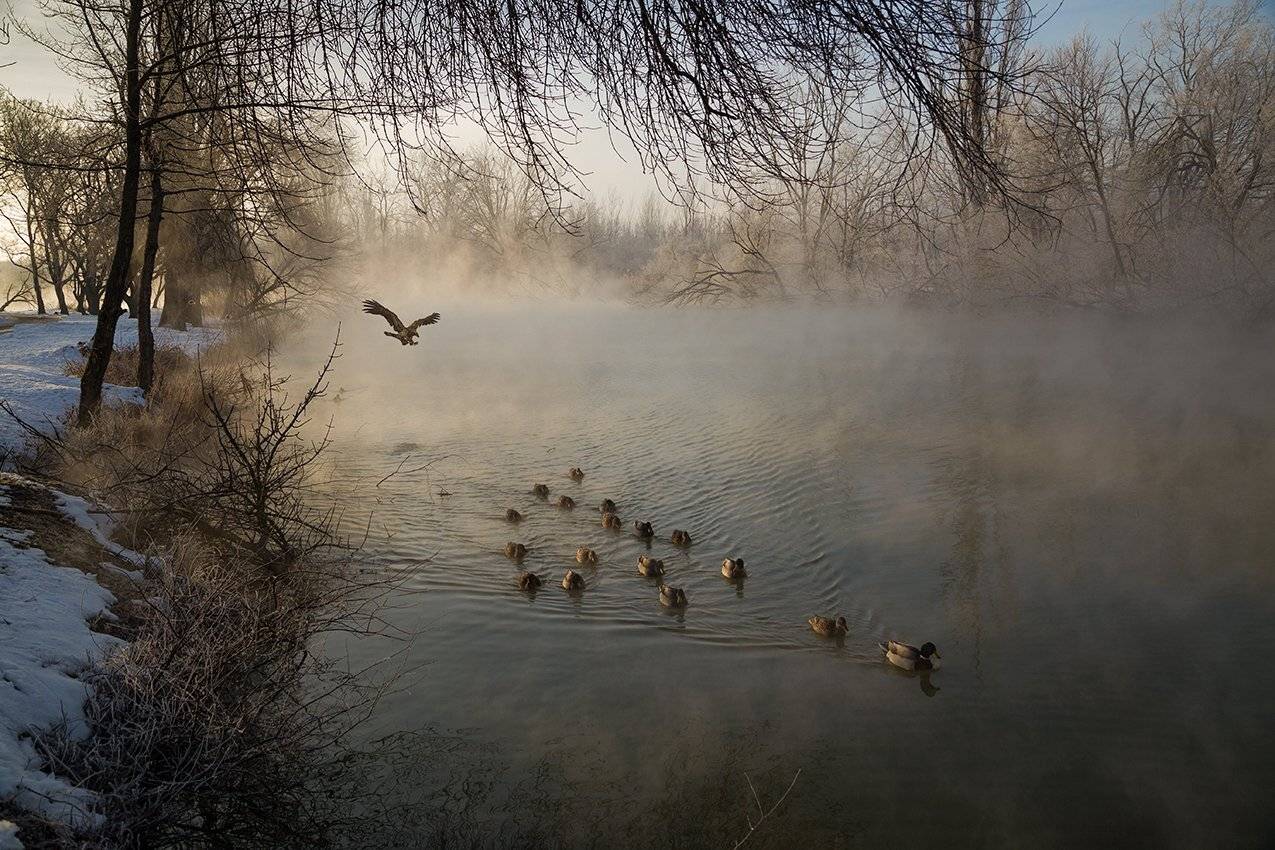 , Алексей Рыльский