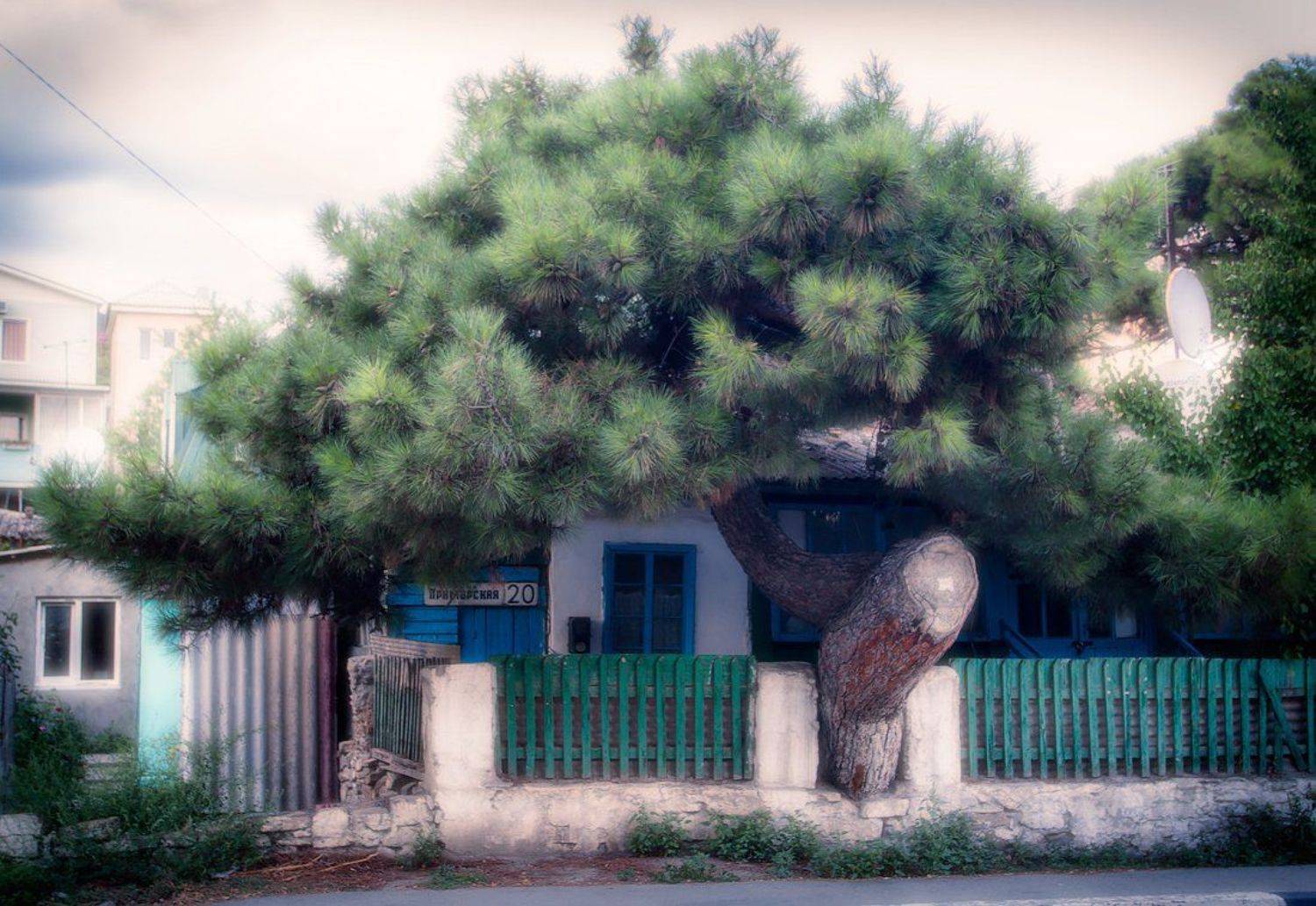 Улица дом сосна крыша необычное, Александр Авилов