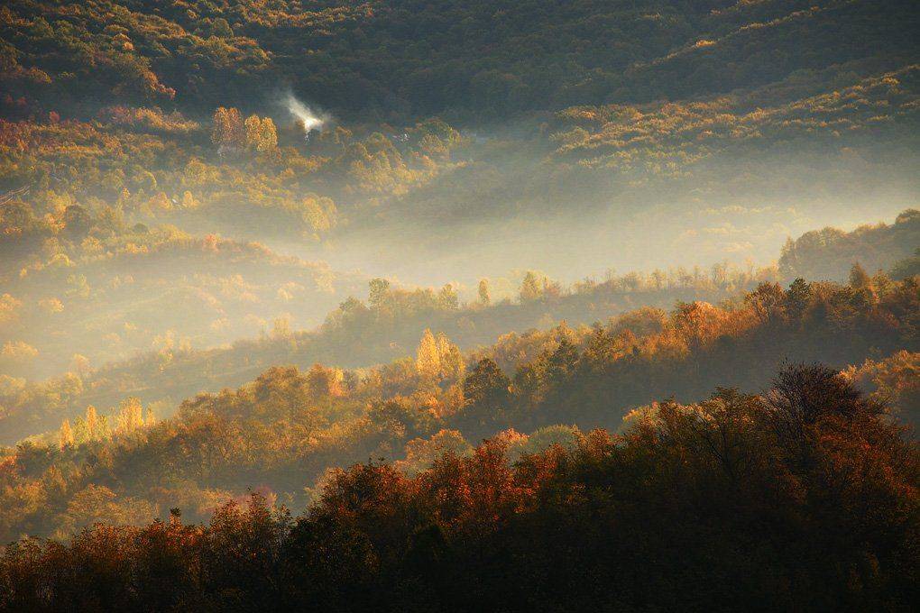 , Stefan Chirobocea
