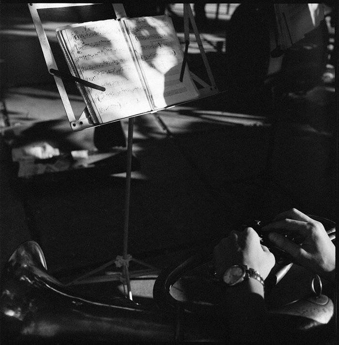 , Александр Савельев