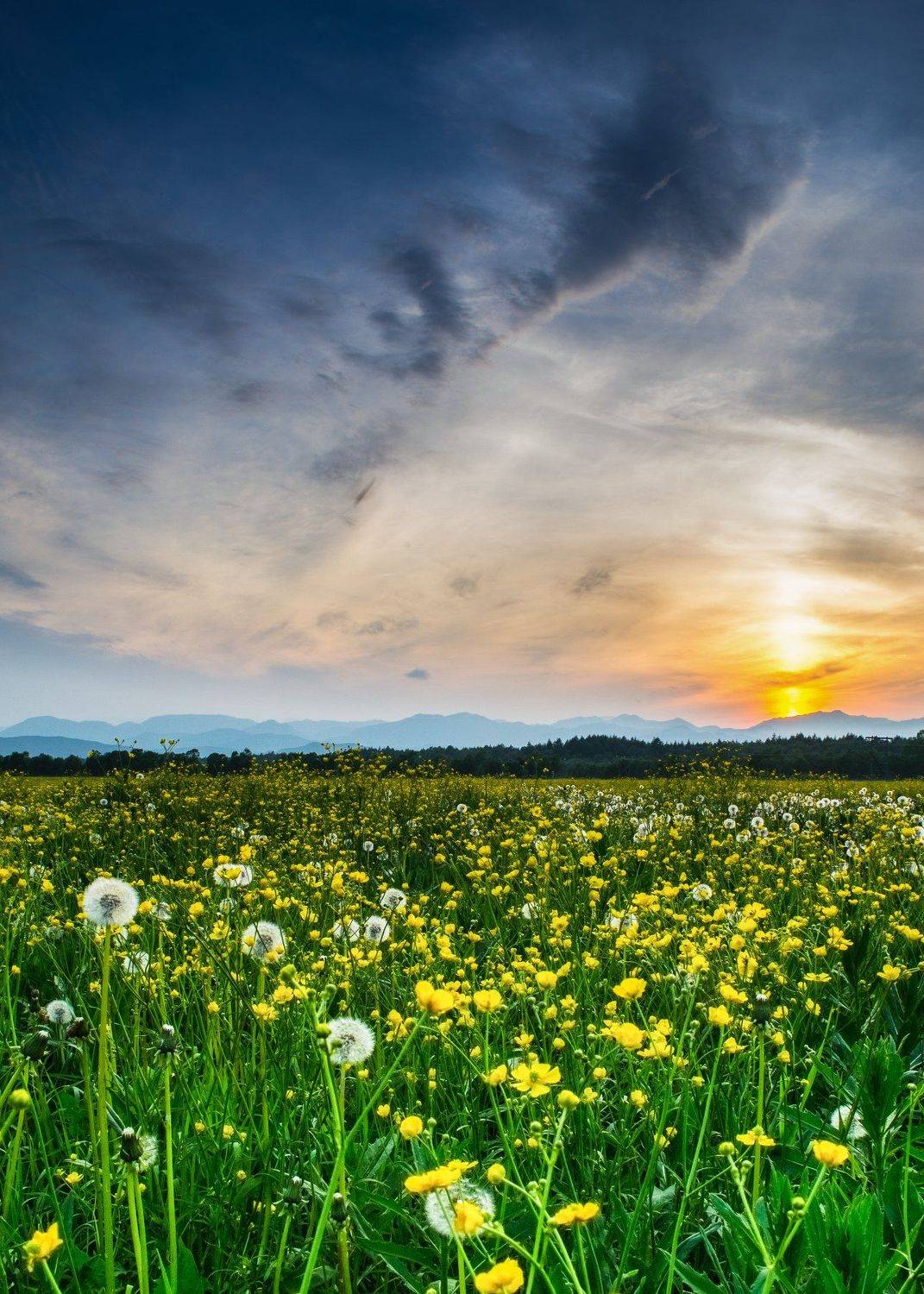 небо, Виталий Курин