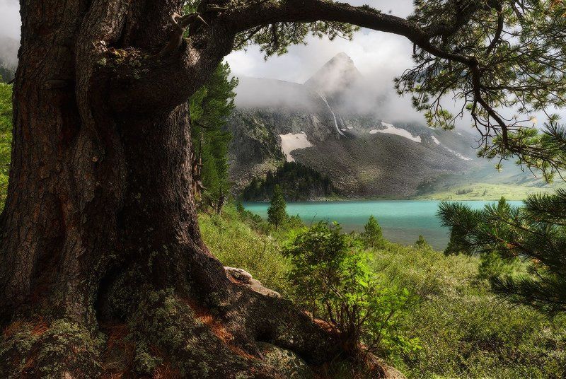 Горный Алтай Мультинские озёра М о.Крепкое. Озарённое солнцем. фото превью