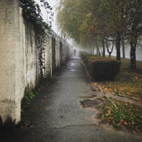 Autumn
