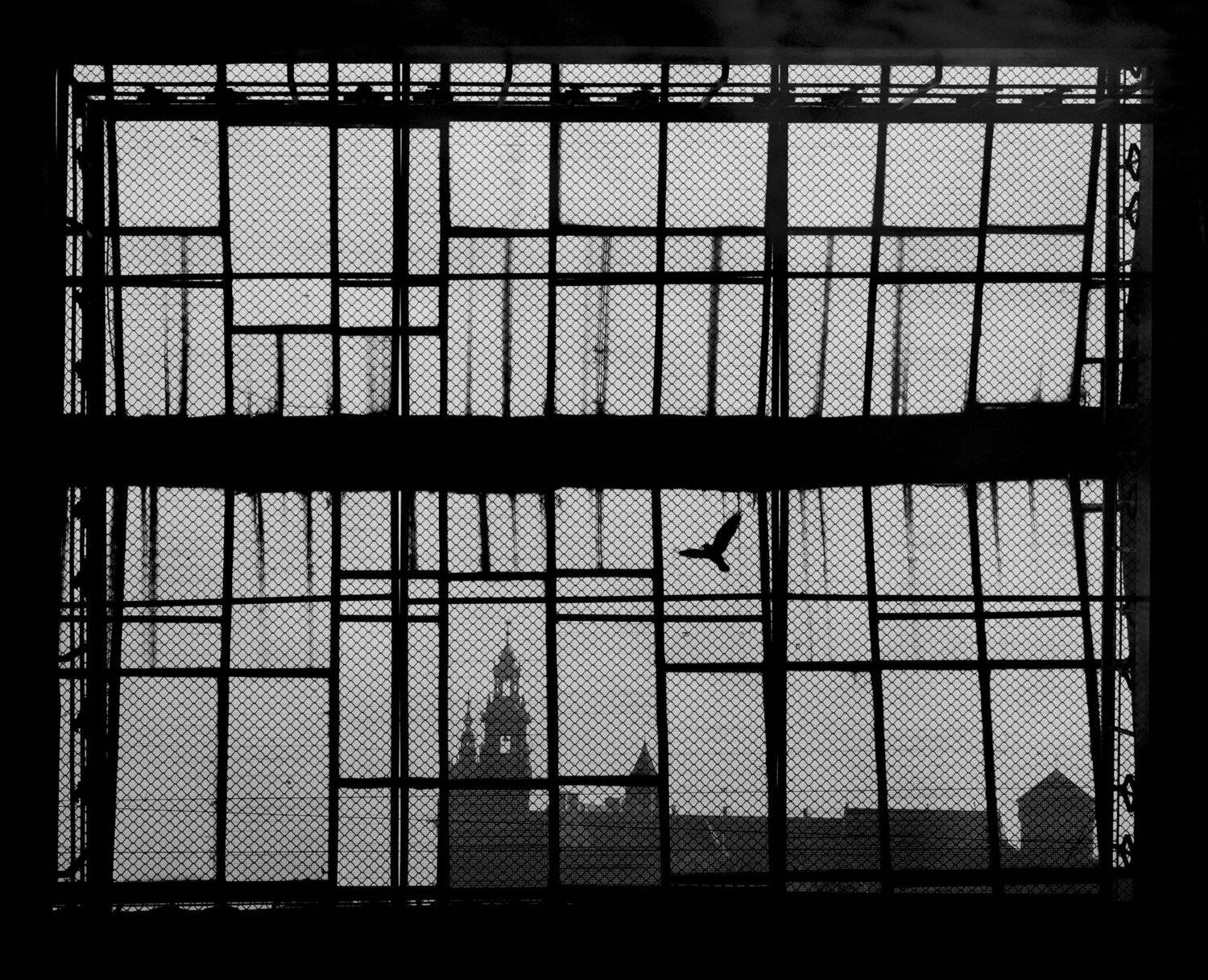 , Krzysztof Trojanowski