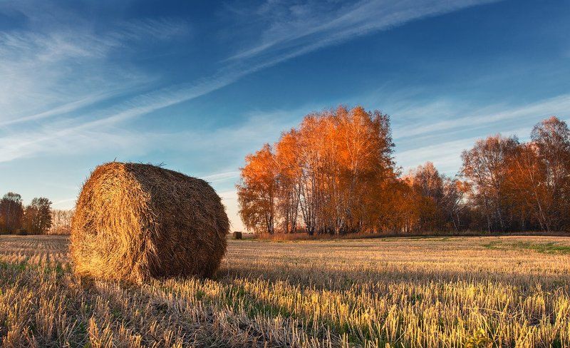 Золотые краски осени фото превью