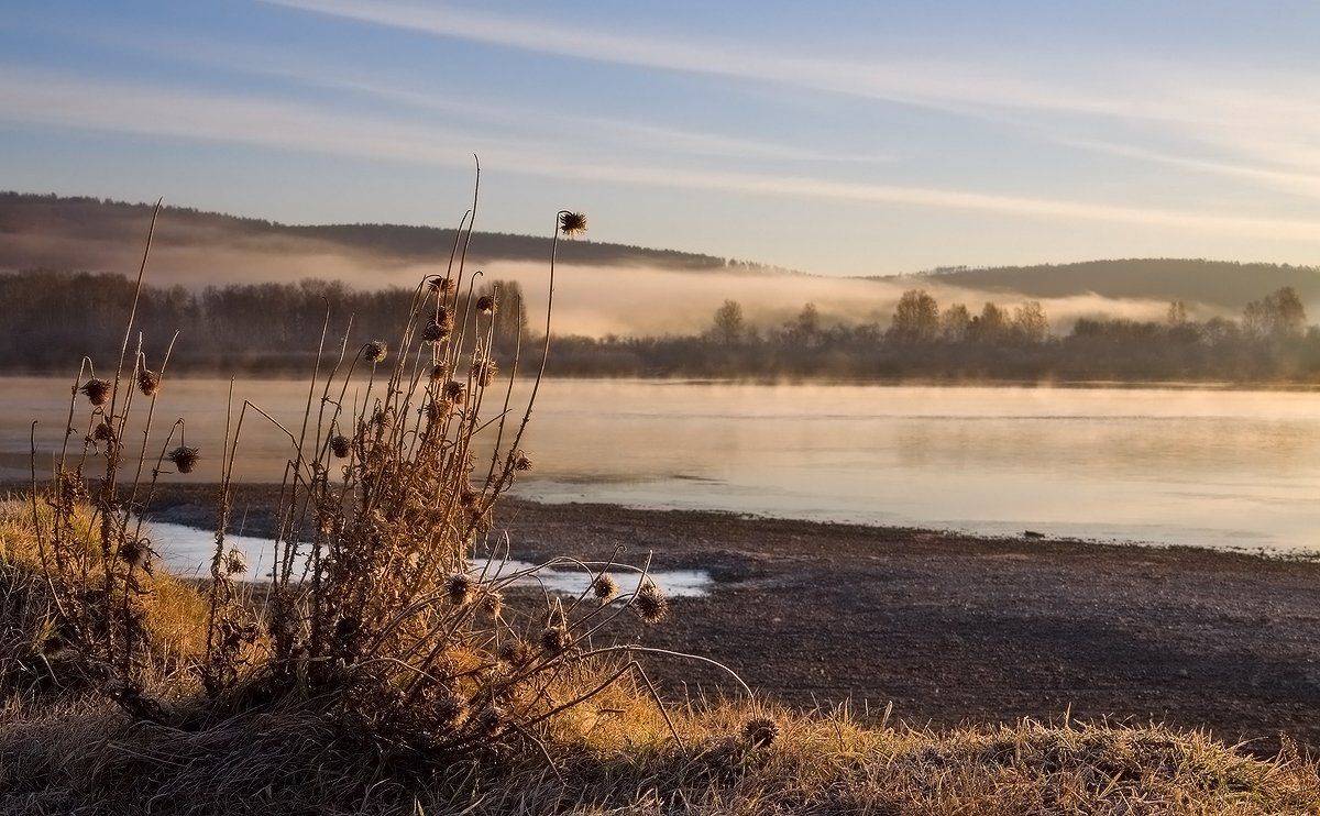 , Николай Морский