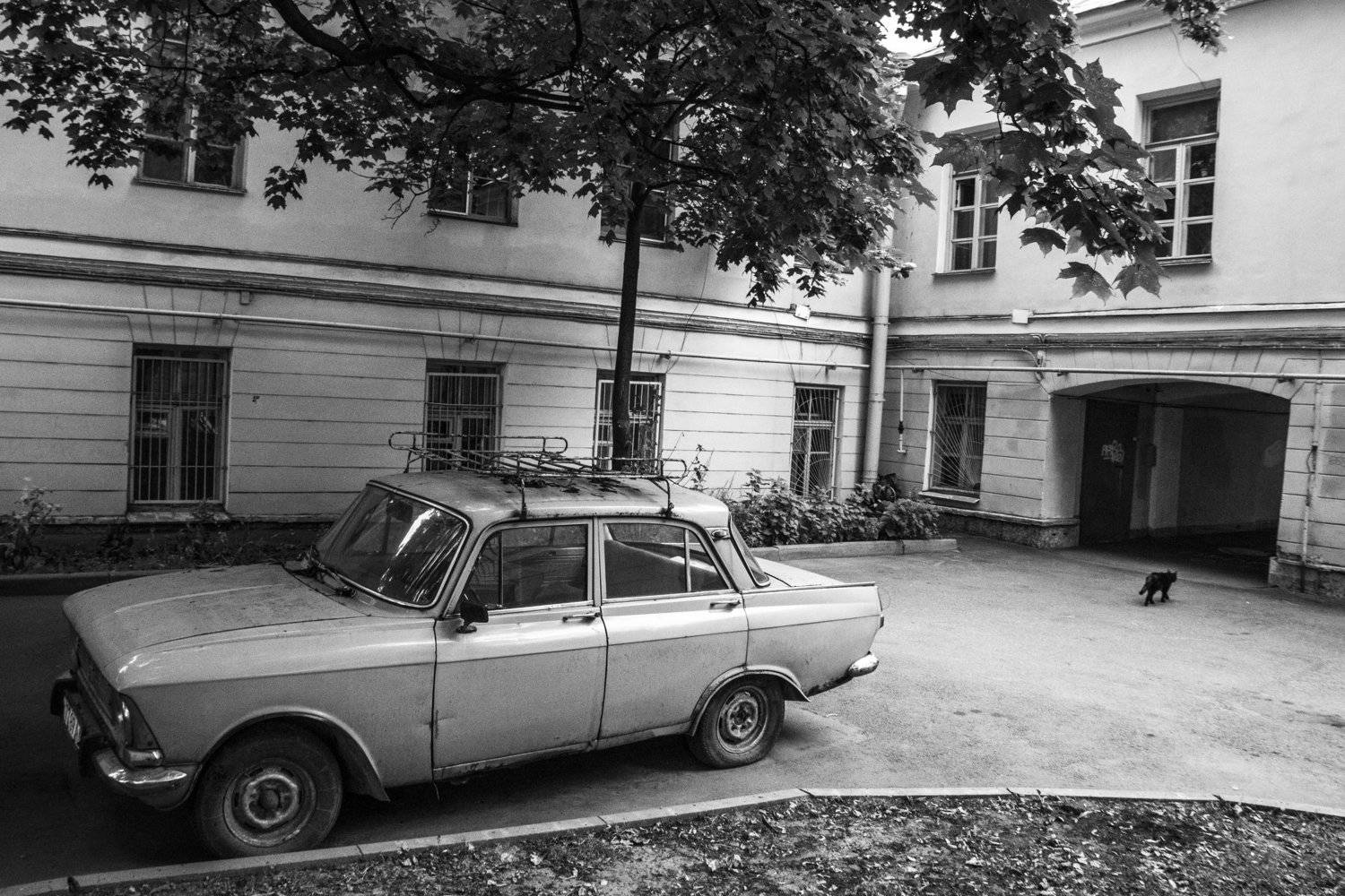 , Денис Духовник