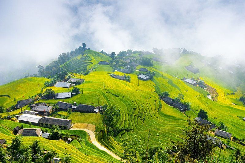 Fairy_Land фото превью