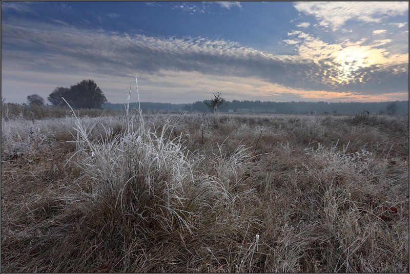 Изморозь фото превью