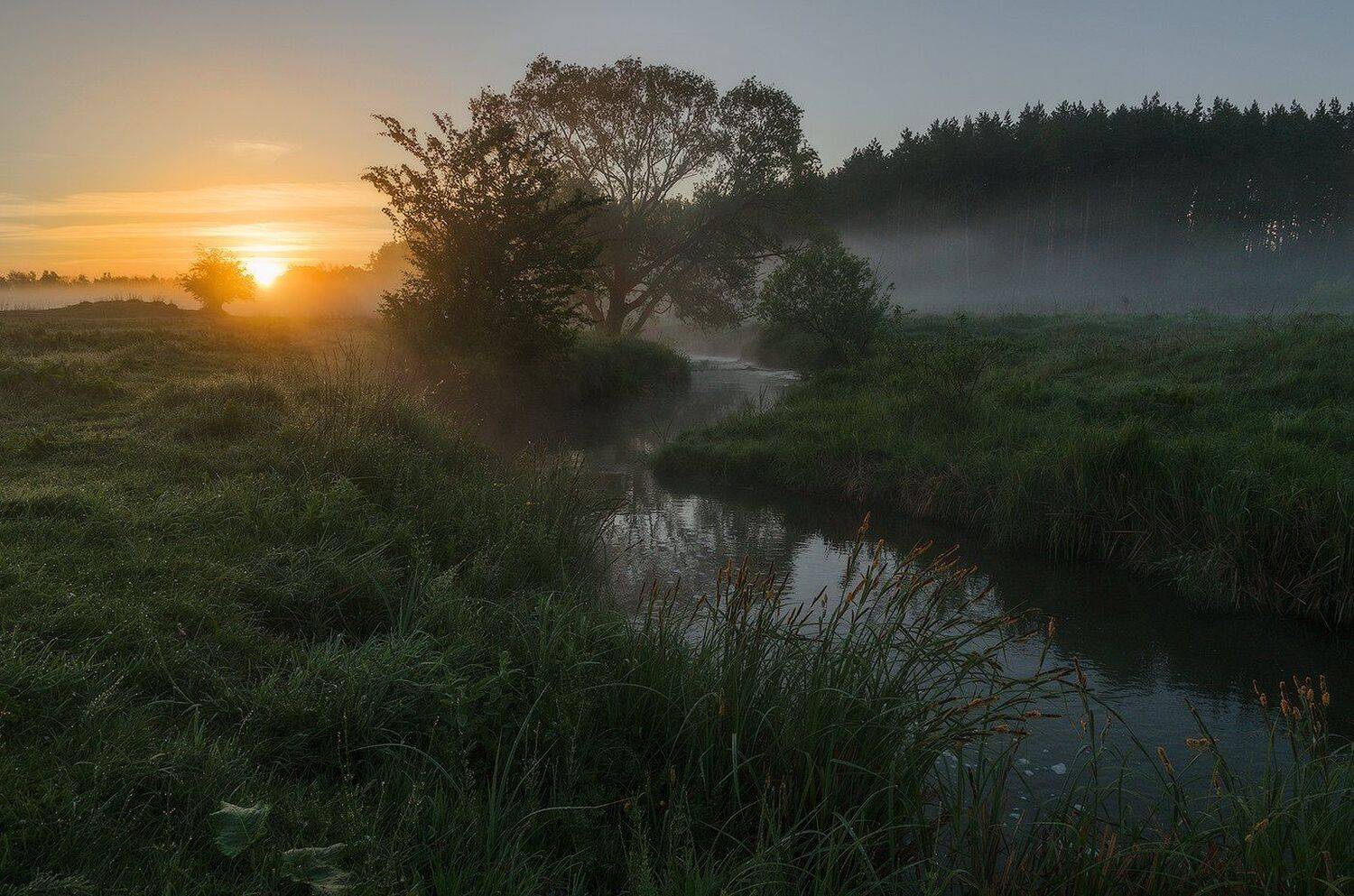 , Сергей Добровольский