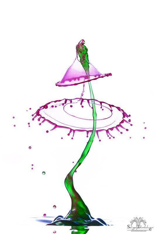 Брызги, Вода, Всплеск, Жидкость, Капли, Макро, Сергей Толмачев