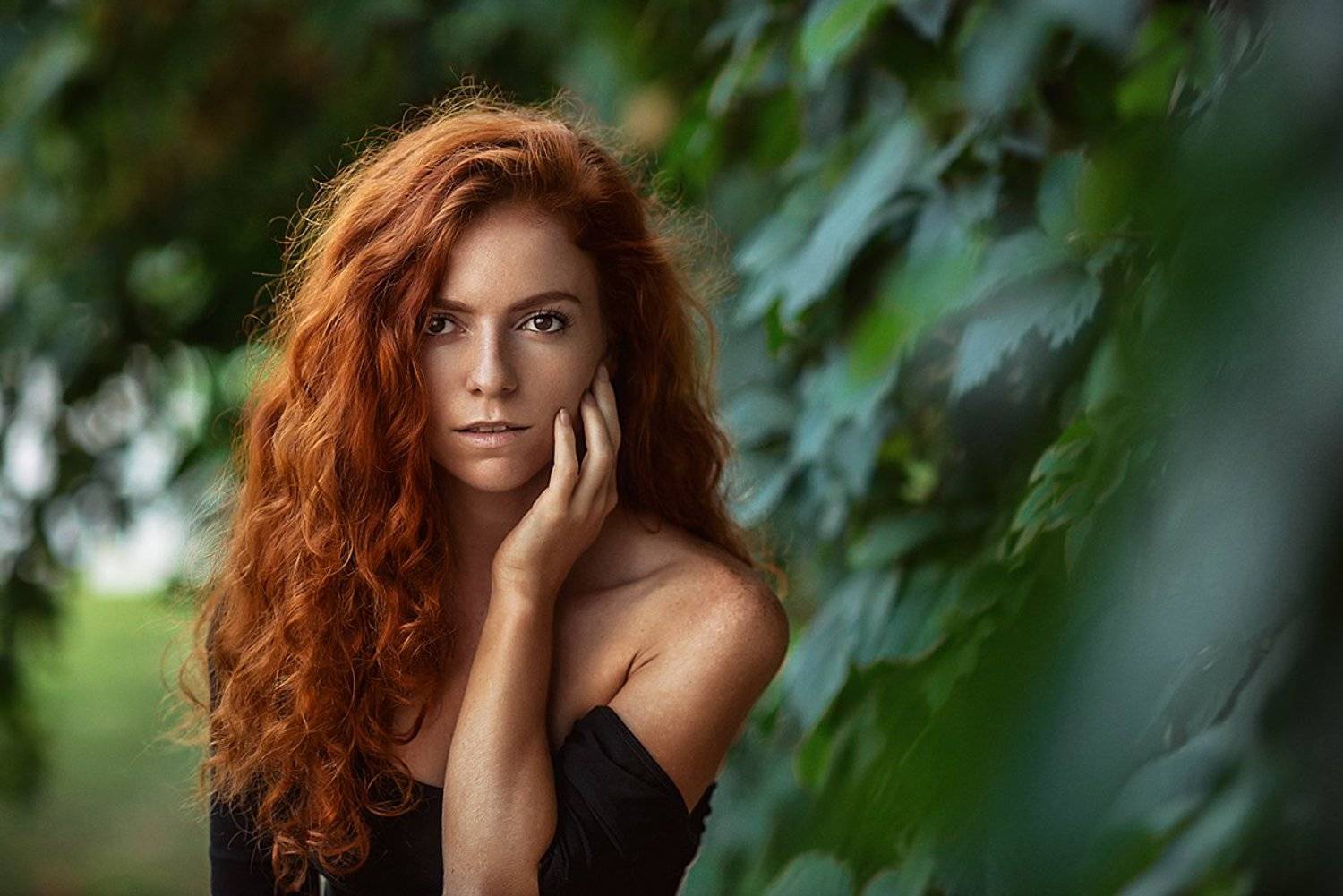 , Георгий Дьяков