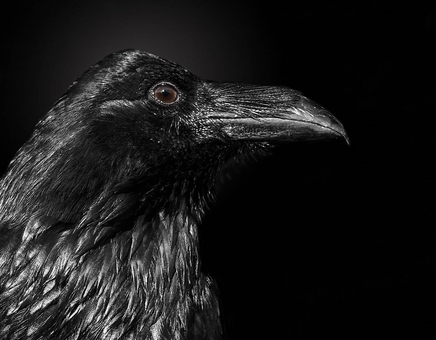 , Олег Богданов