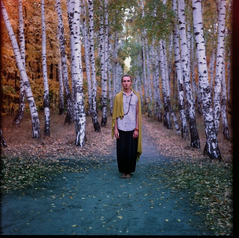 Velvia 50 shoami  шум берёз  фото превью