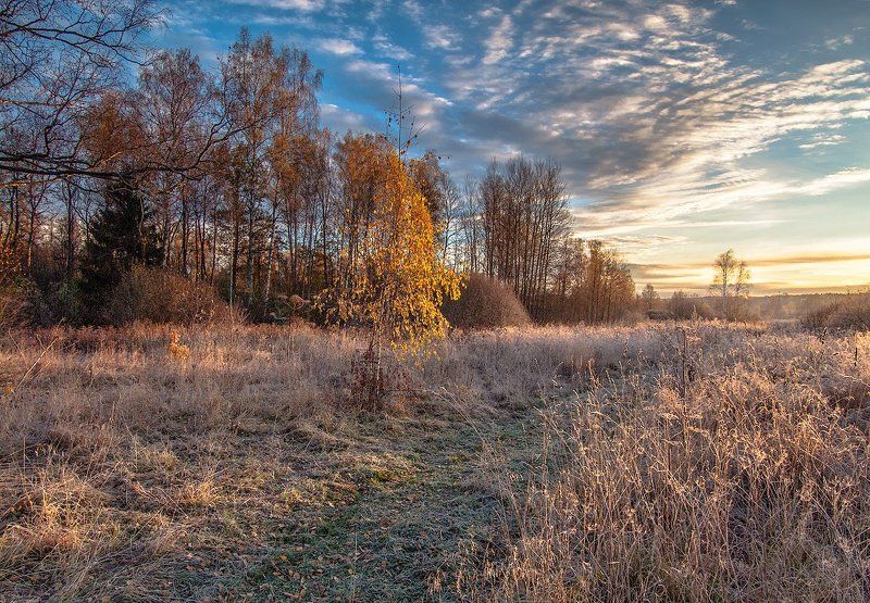 *** фото превью