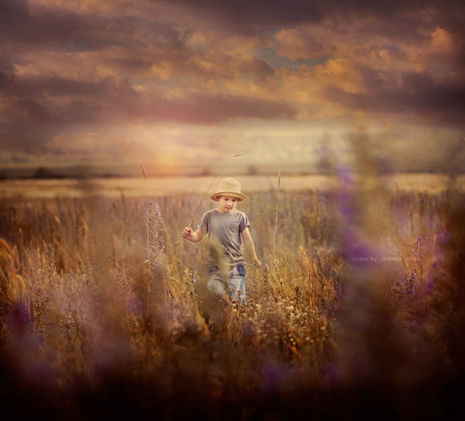 поле,мальчик, Сизова Людмила