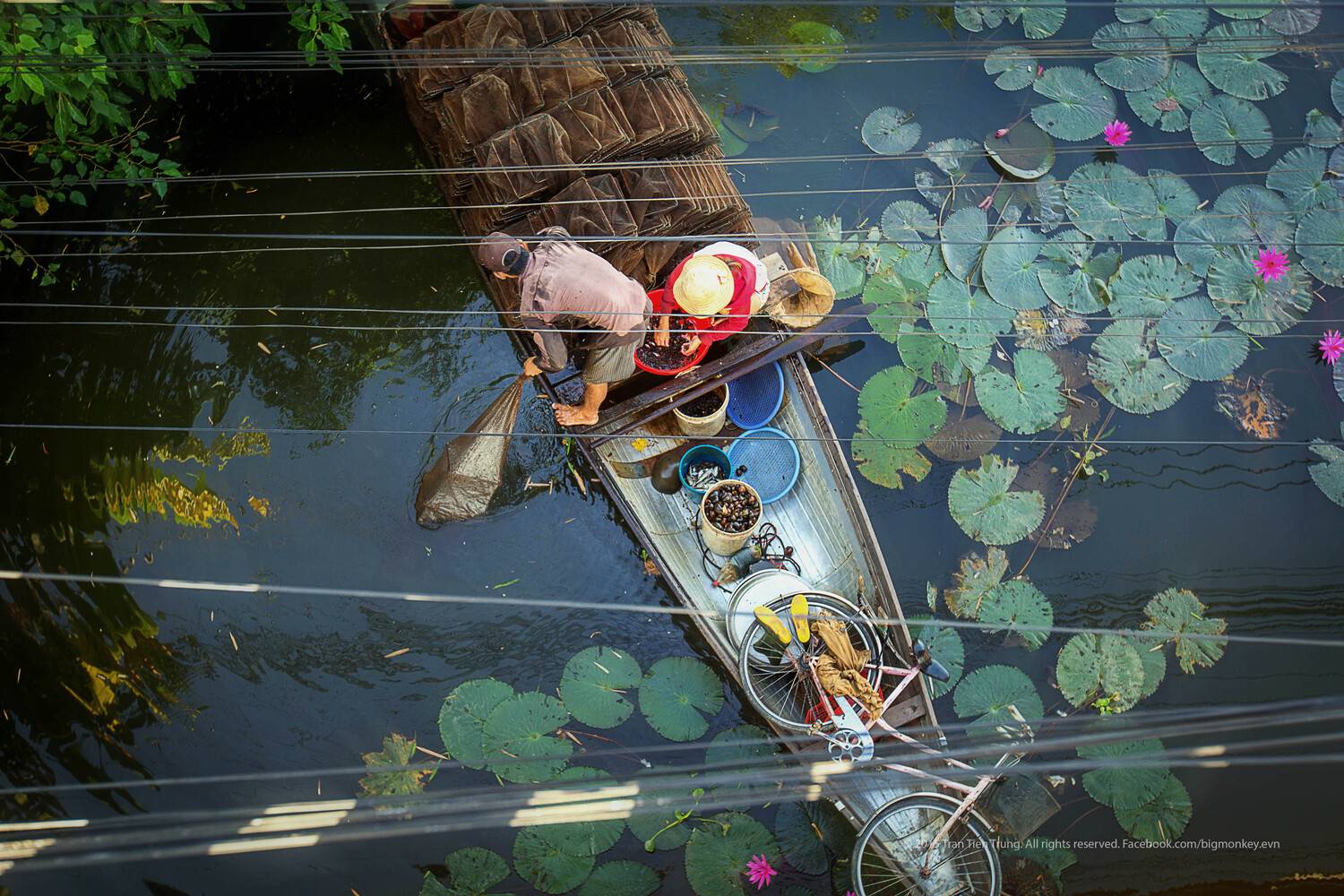 love, Trần Tiến Trung