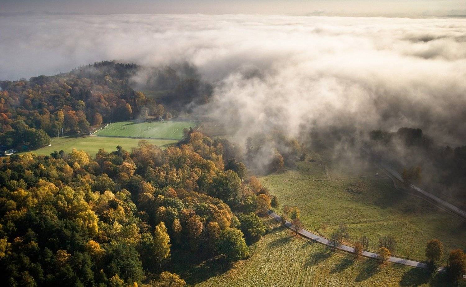 stockholm,sweden,misty,foggy,lands,patryk,, Patryk Ignacak