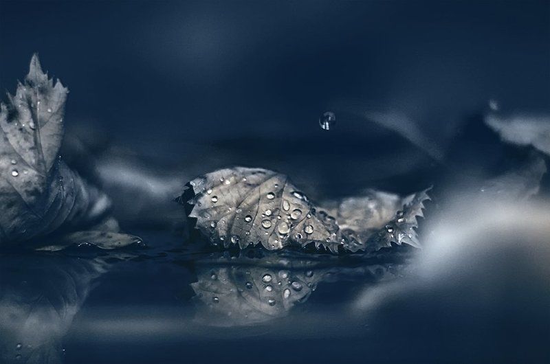 Blue фото превью