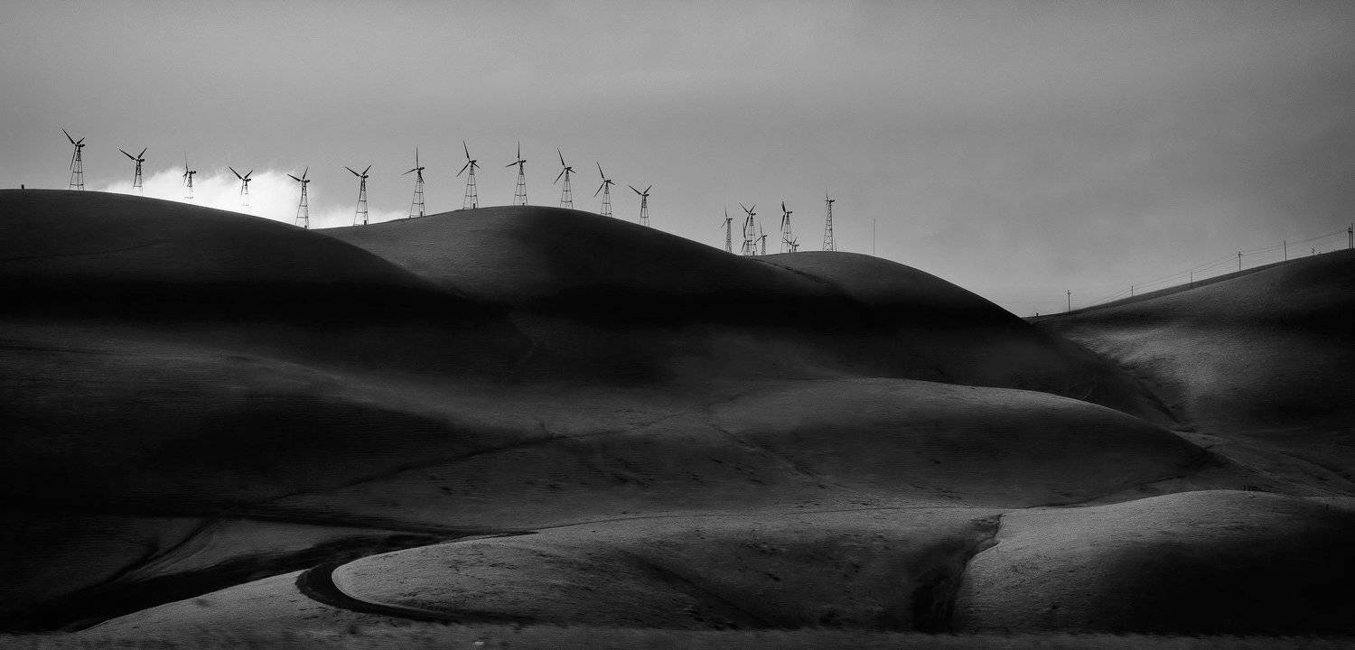 Black and white, Landscape, Sutkus Rolandas