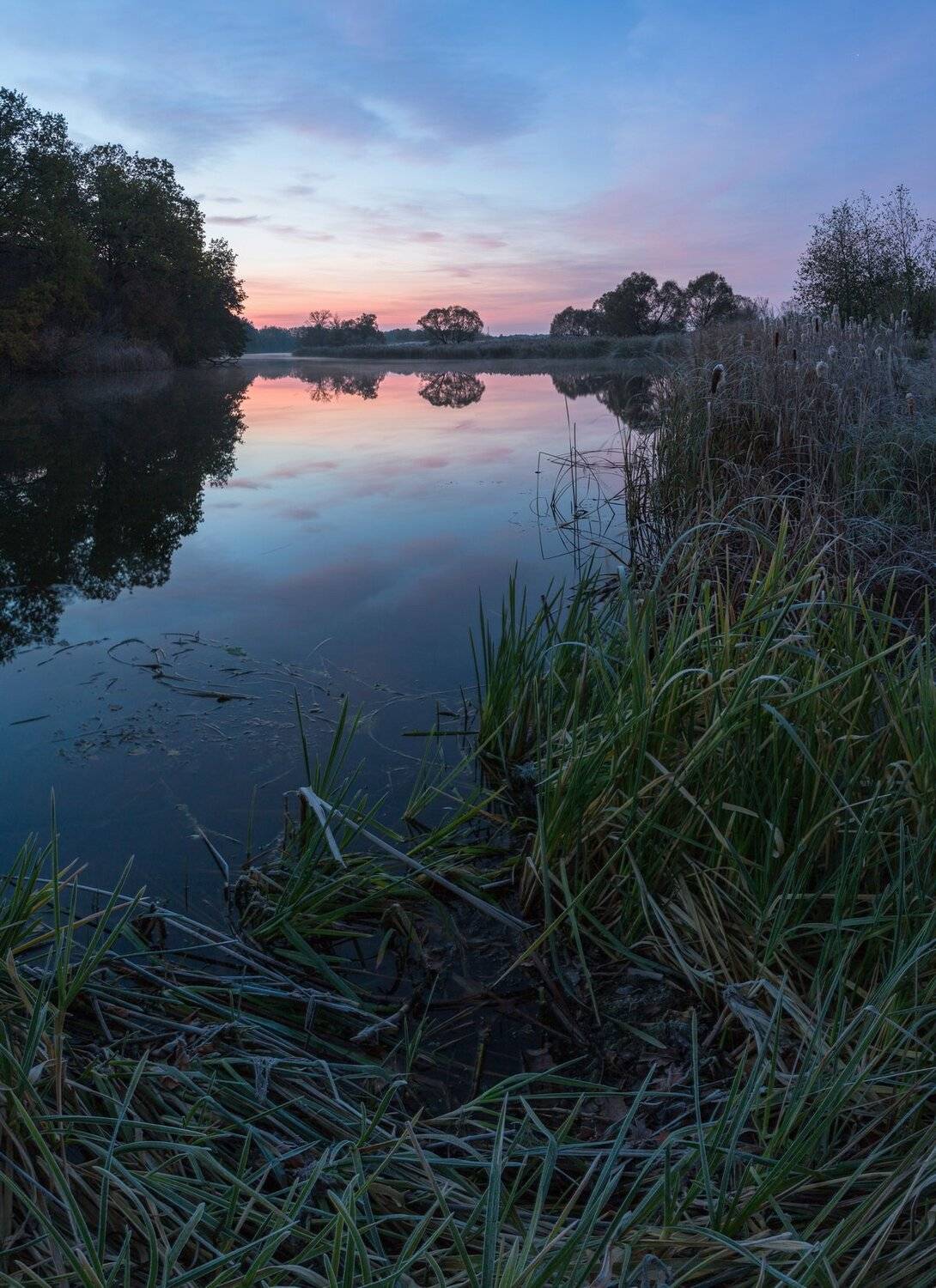 , Александр Бредихин