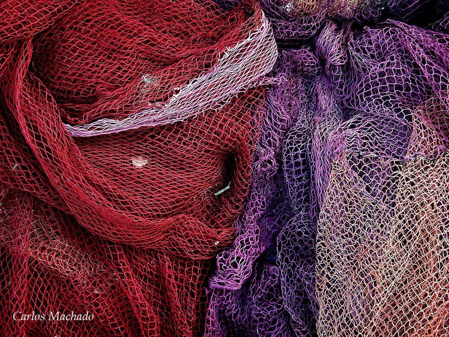 Macro, Urban,, Carlos Machado