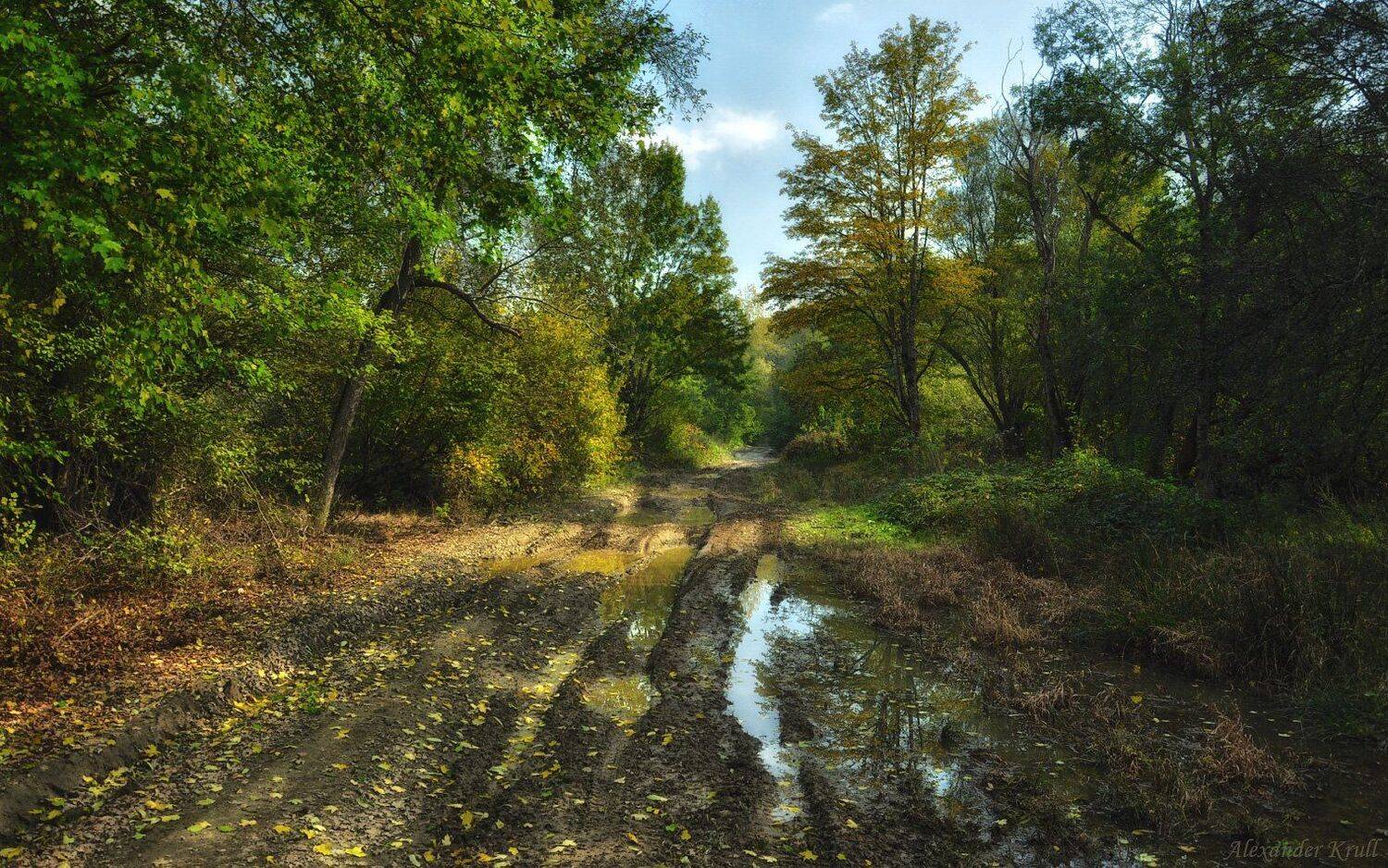 Осень, Распутица, Александр Круль