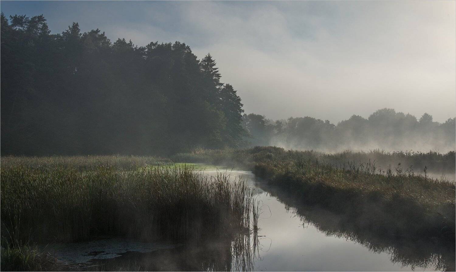 , Николай Шахманцир