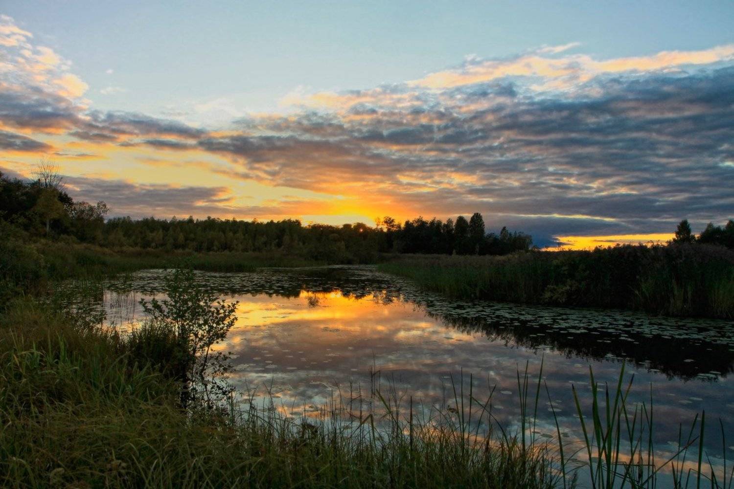 закат, тверская область, Галина Хвостенко