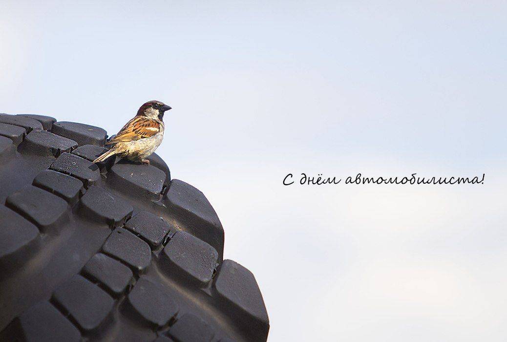 , Петрова Татьяна