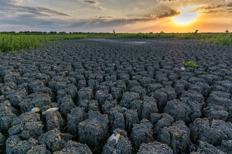 засуха, трещины, пересохшее, озеро Широкогорлое фото превью