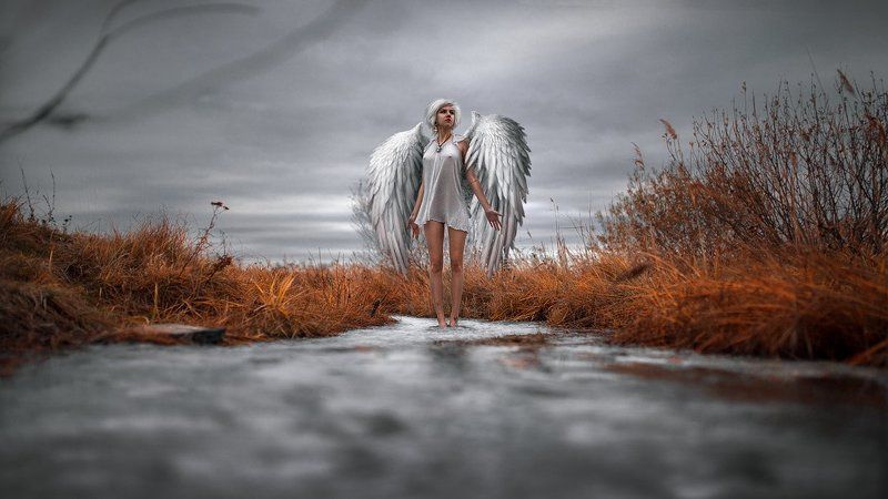 ROS фото превью