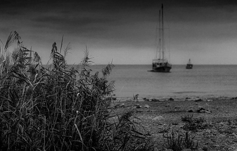 парусник, море, камыш, берег, штиль Стоянка... фото превью