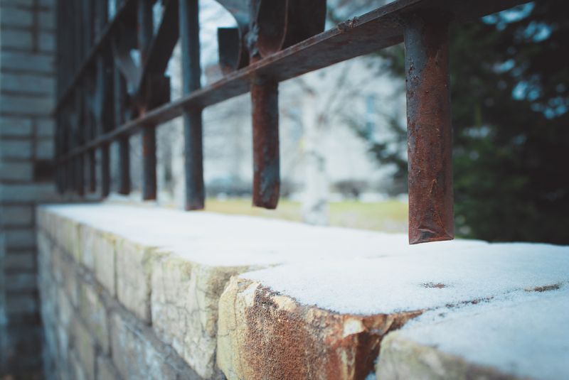 осень цветы макро природа  Краски октября фото превью