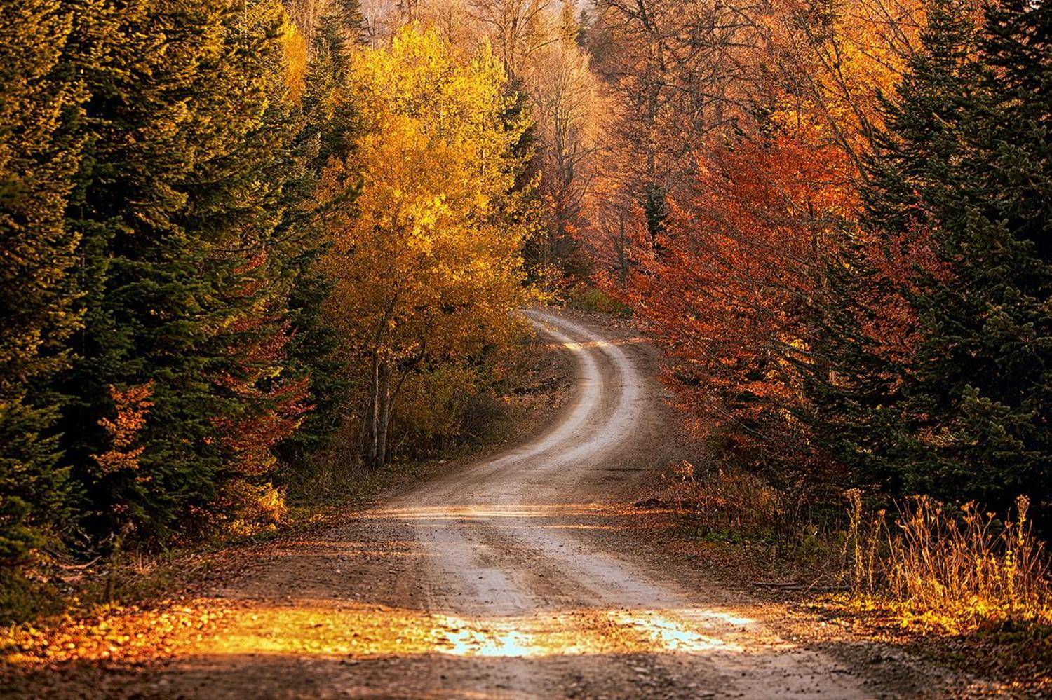 турция, дорога, осень, Ludmila Yilmaz