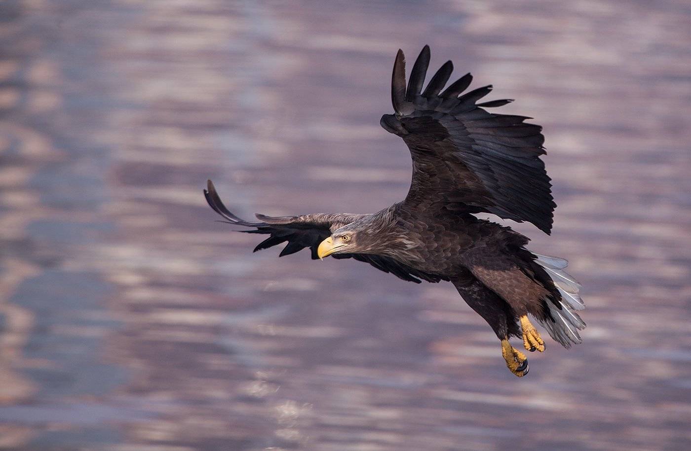 , Евгений Слободской