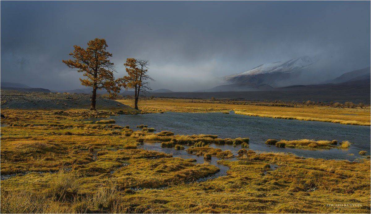 , Кутыгин Эдуард