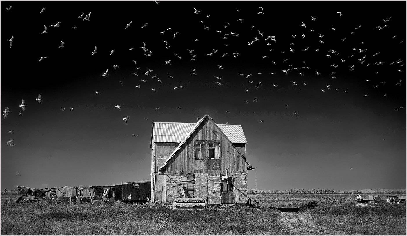 , Борис Пирог