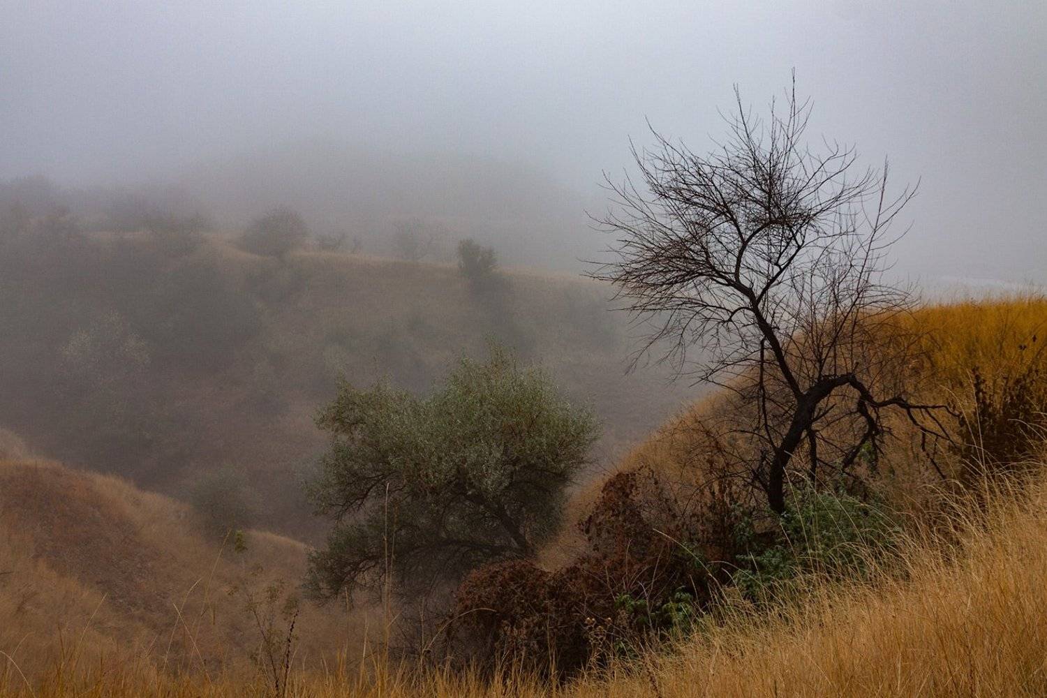 , Владимир Костылев