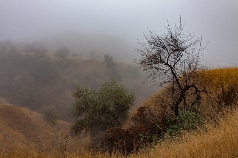 Осенний туман фото превью