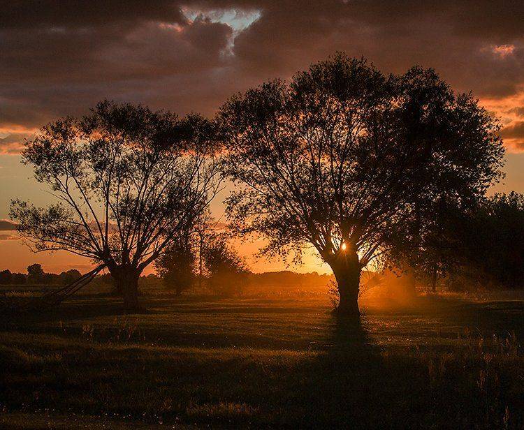 , Pawel Plucinski