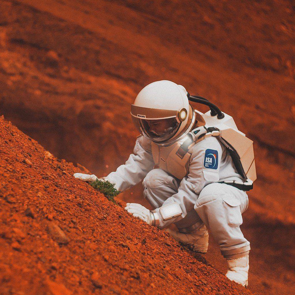 foto, photografer, space, mars, planet, скафандр, модель, девушка, фантастика, космос, красная планета, nikon, Зуфар Валиев