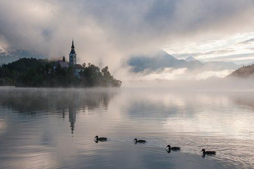 Туманы озера Блед