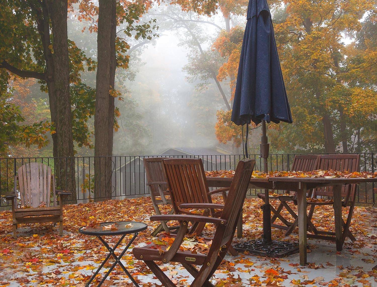 Природа, Антонина