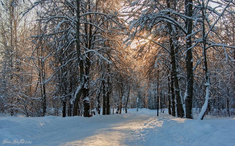 *** фото превью