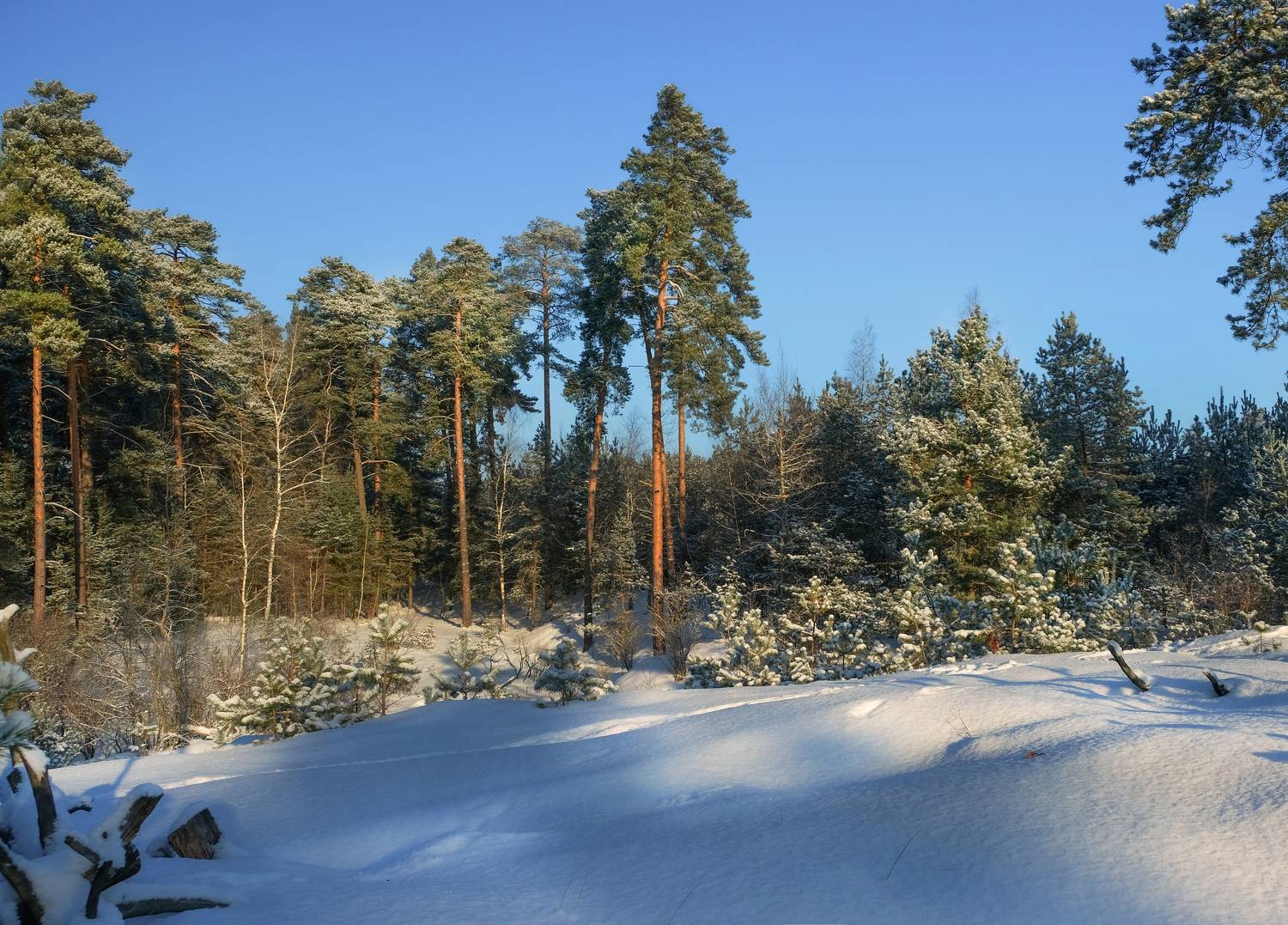 , Екатерина