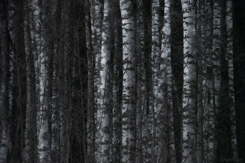 Переплетение фото превью