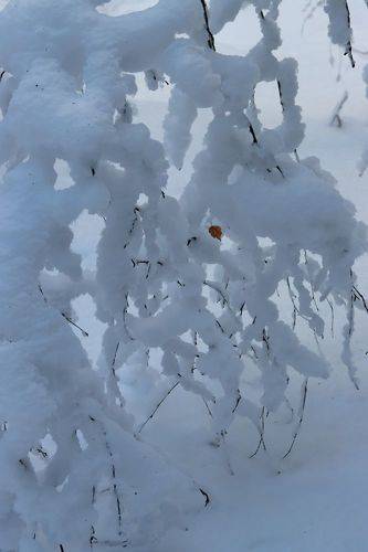 Кружево с бусинкой
