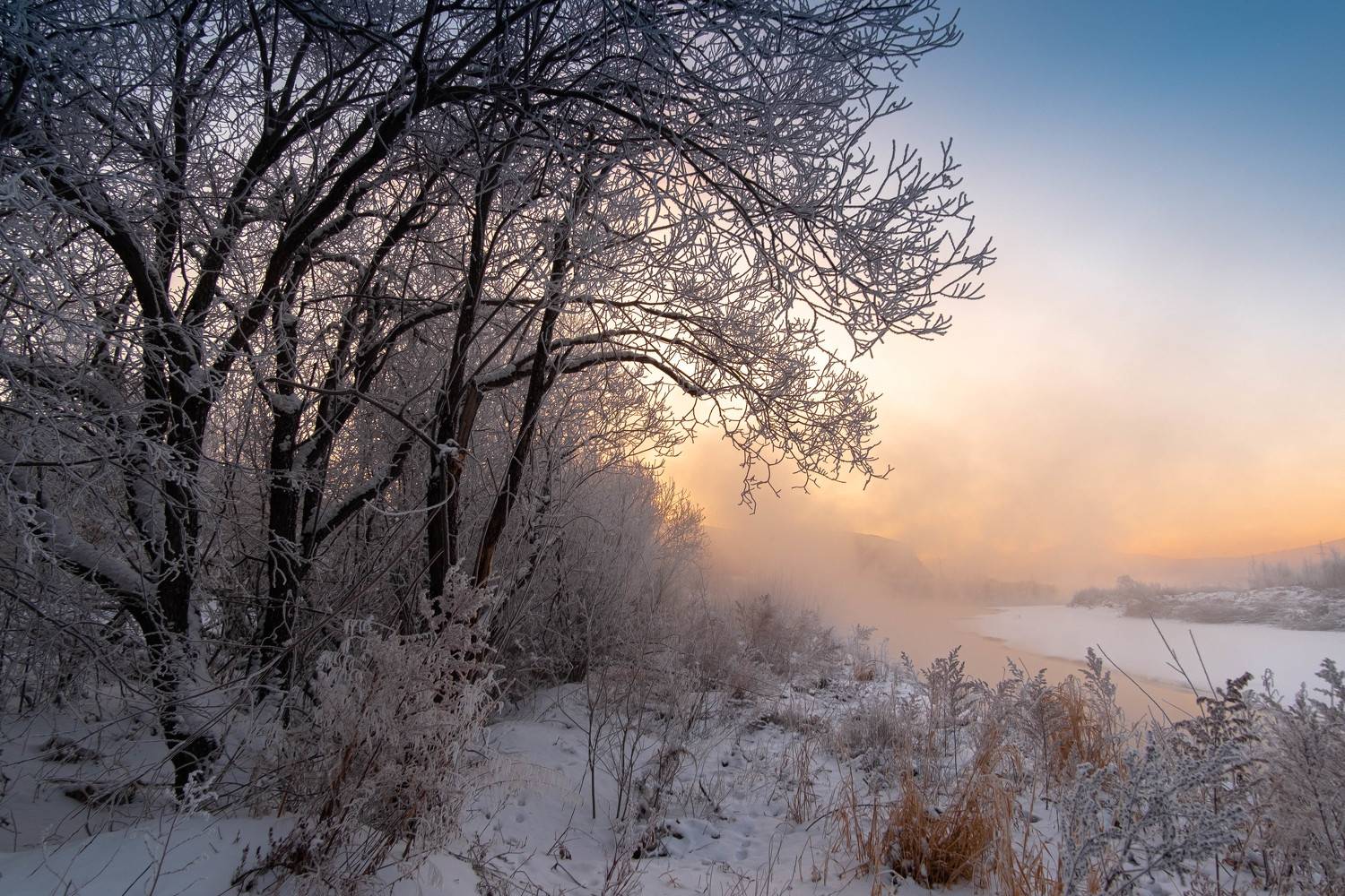 , Комеров Роман